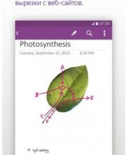 OneNote OneNote
